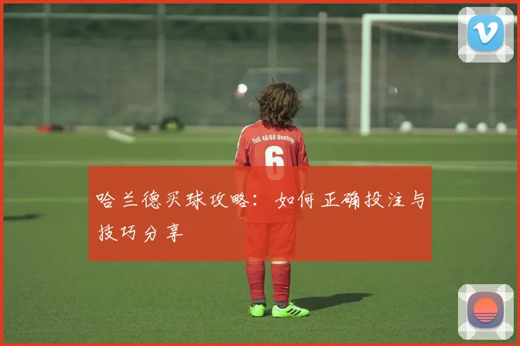 哈兰德买球攻略：如何正确投注与技巧分享
