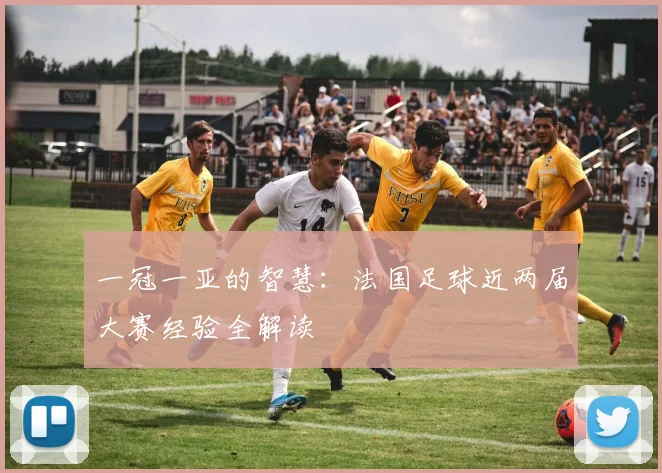 一冠一亚的智慧：法国足球近两届大赛经验全解读